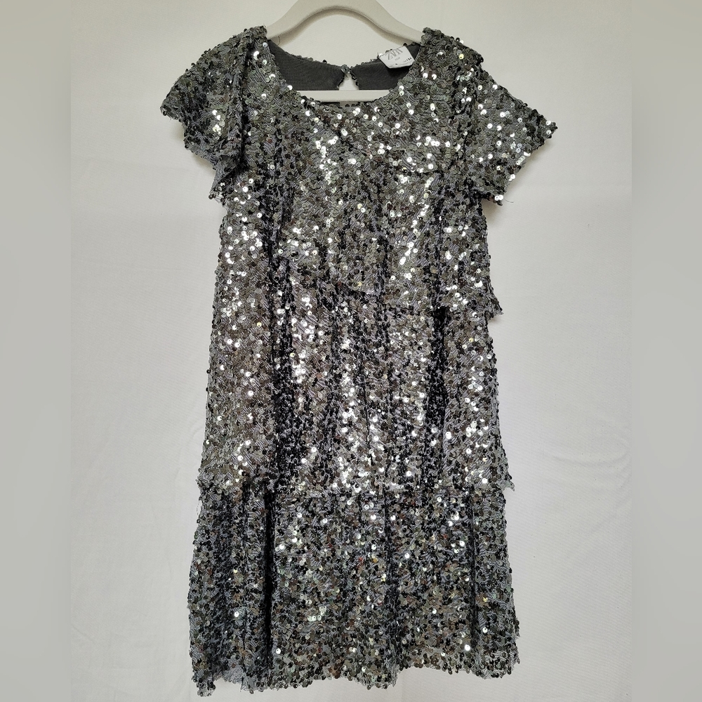 Zara Gray Sequins Dress